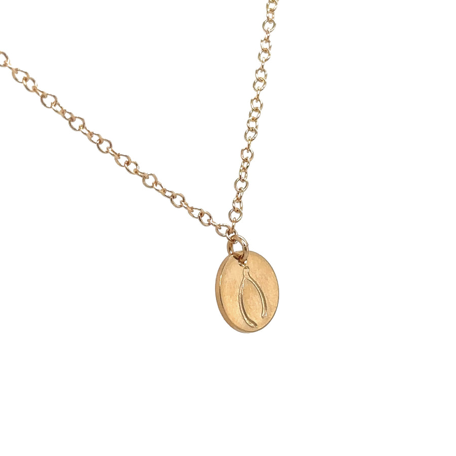 Necklace - Disk with Wishbone