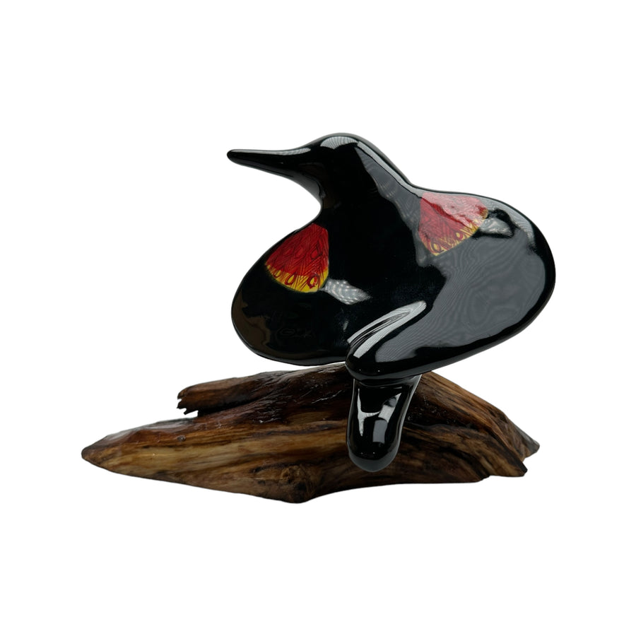 Bird - Red-winged Blackbird #1163