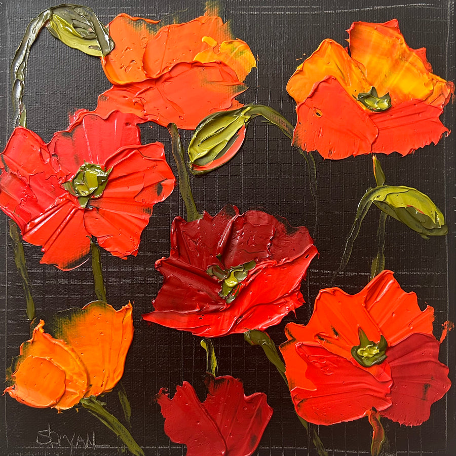 Poppies on Black