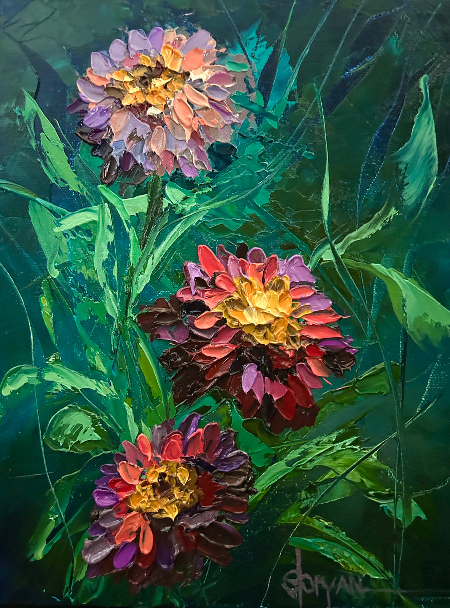 Three Zinnias