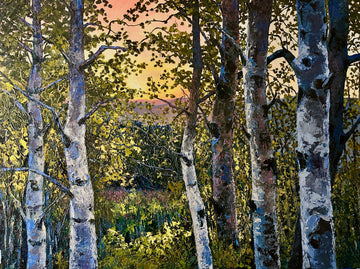 Big Sky Through Aspen Eyes