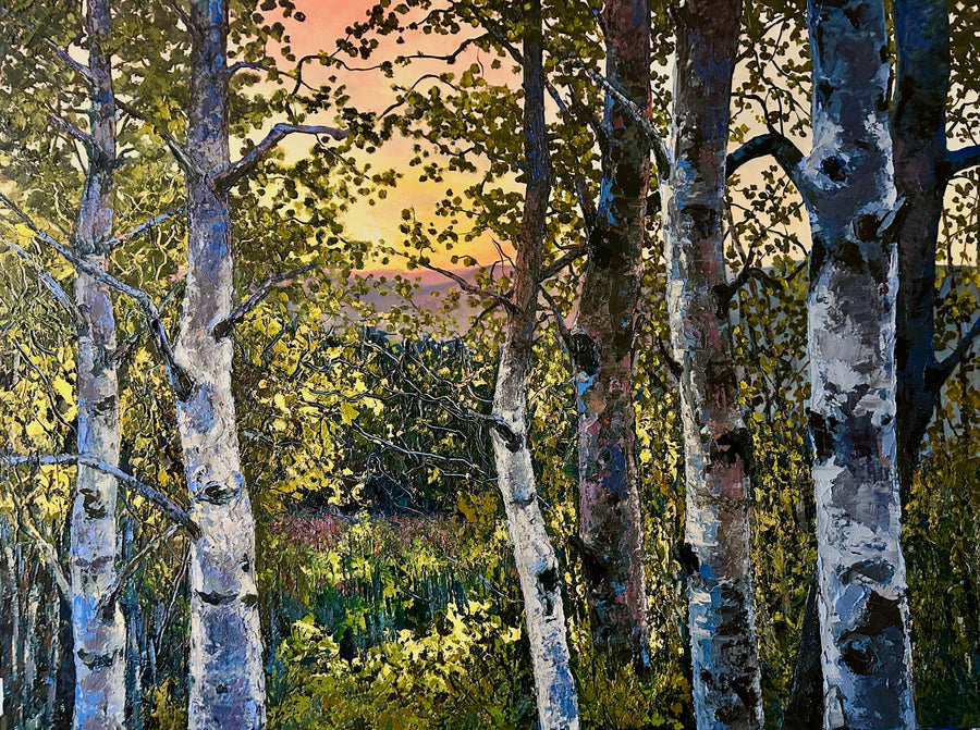 Big Sky Through Aspen Eyes