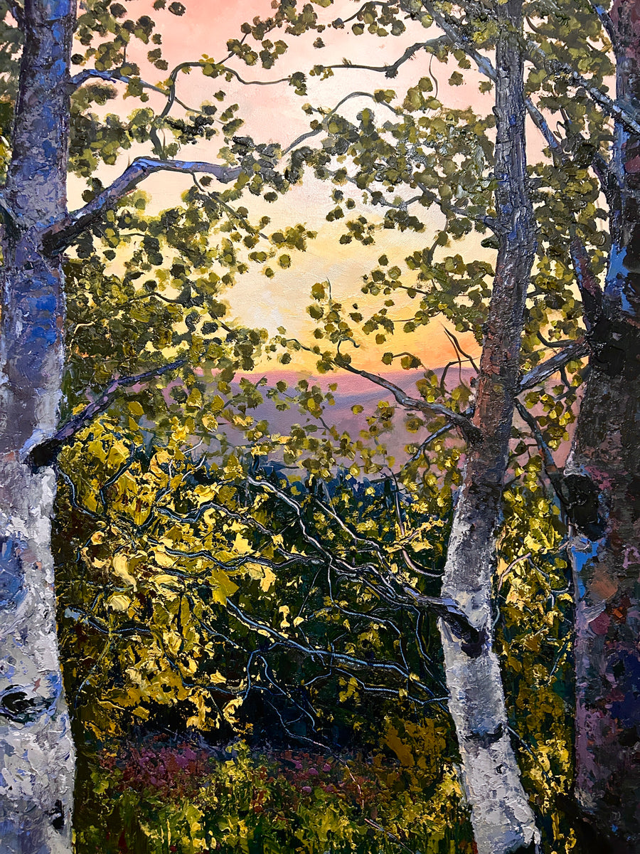 Big Sky Through Aspen Eyes