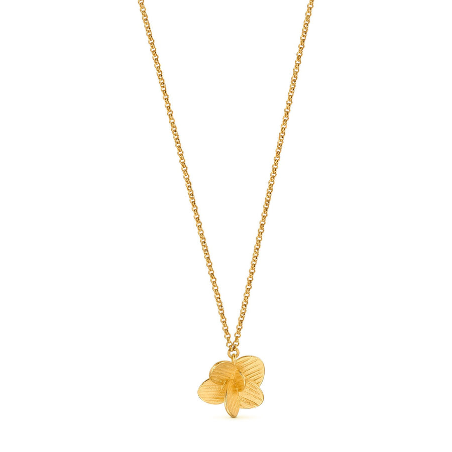 Pampalonia in Gold - Necklace