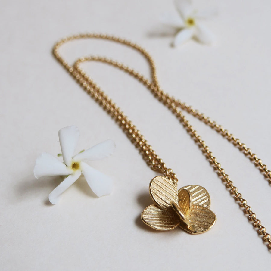 Pampalonia in Gold - Necklace