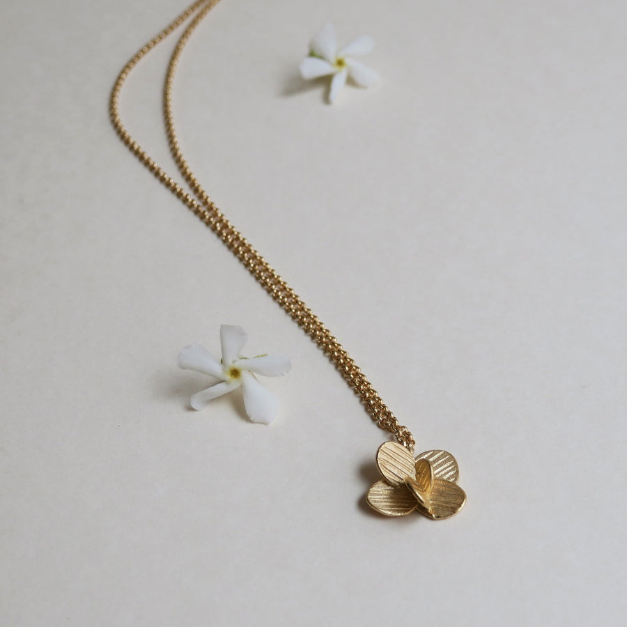Pampalonia in Gold - Necklace