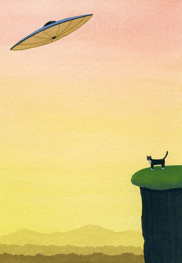 Kitty's Ride