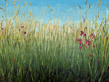 Tall Grass Prairie Wildflowers