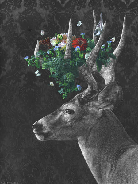 Canopy – Altitude Gallery