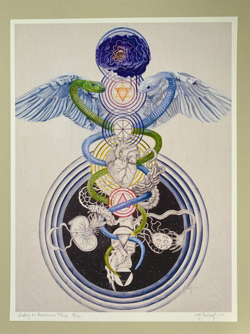 Duality in Precarious Flux - Print