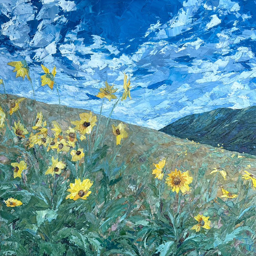 Mount Sentinel Blooms