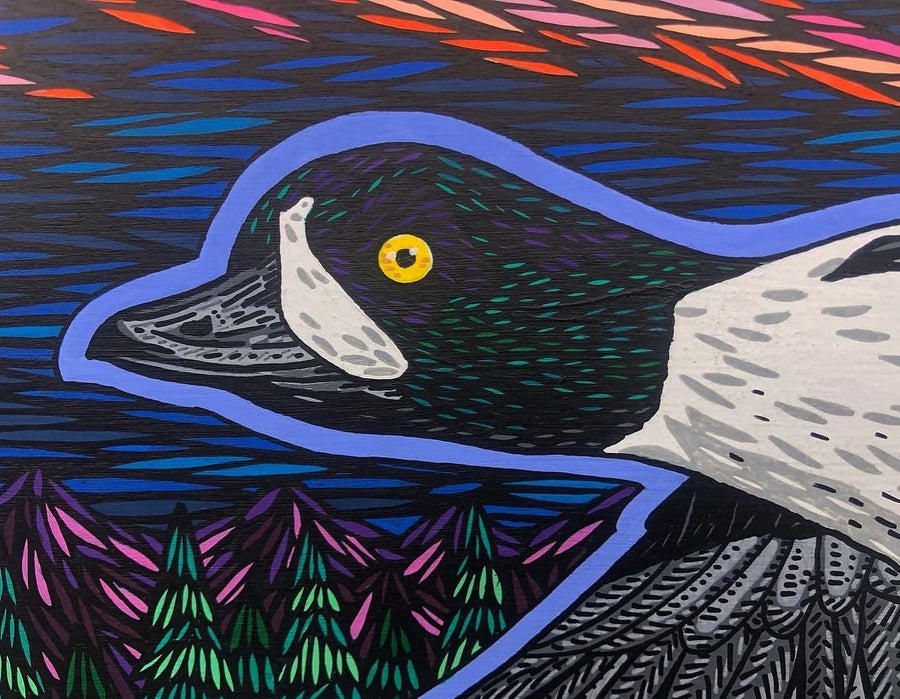 Barrow's Goldeneye - Original Painting