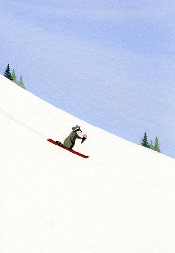 Raccoon's Excellent Day