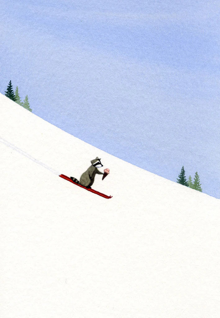 Raccoon's Excellent Day