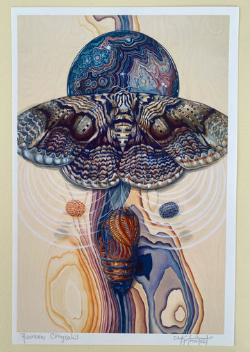 Rainbow Chrysalis - Print