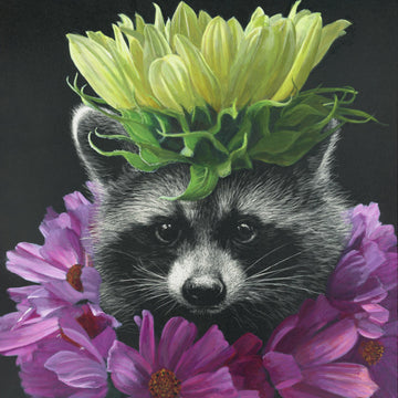 Raccoon - Sunflower