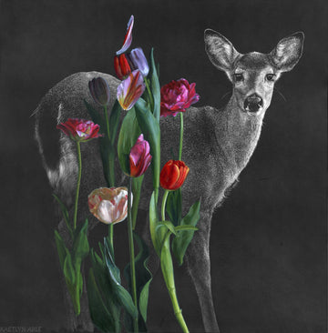 Tulips and Doe