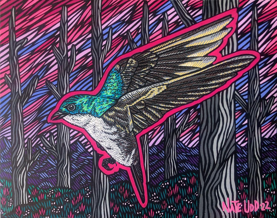 Tree Swallow - Print
