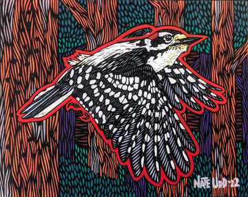 Downy Woodpecker - Print