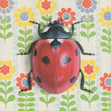 Ladybug White