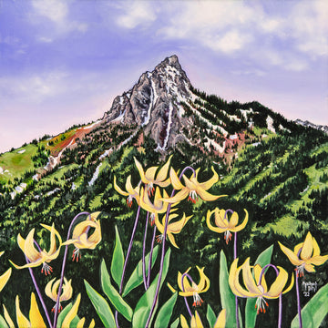 Ross Peak Glacier Lilies