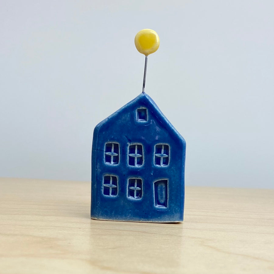 Dark Blue Tiny House