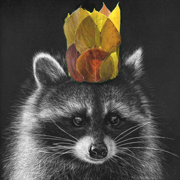 Late Autumn Crown (Raccoon)
